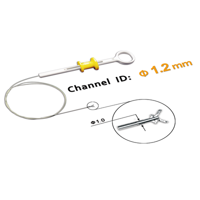 Endoskopia hosa tipo biopsiaj strekoj