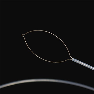 Makzelo tipo fremdaj korpaj forceps